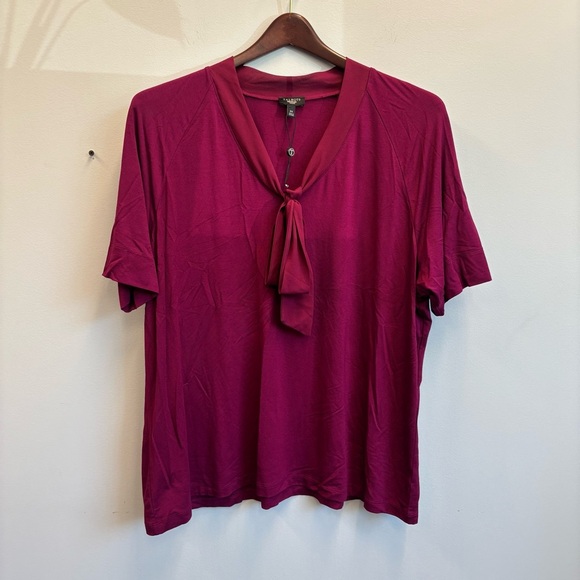 NWOT Talbots 2X Top Short Sleeve V-Neck Tie Pink - Picture 1 of 9